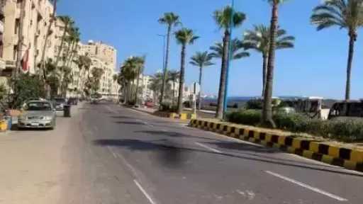 أخبار