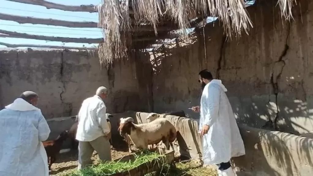خط أحمر