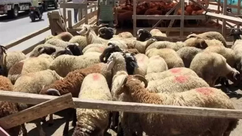 خط أحمر
