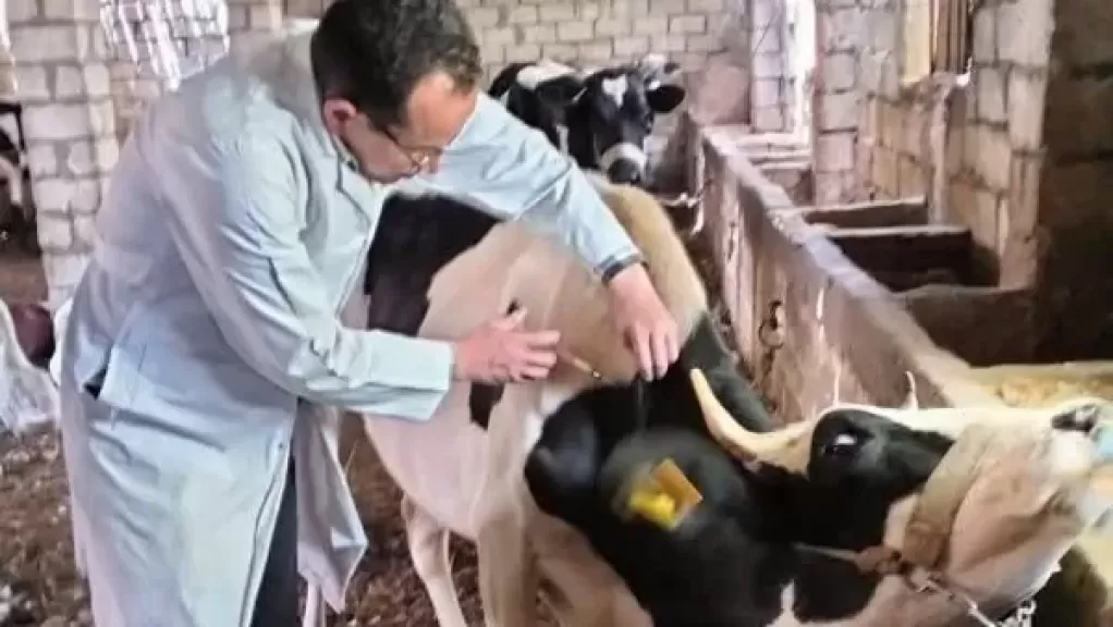 خط أحمر
