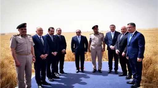 الوفد يُشيد بجهود الرئيس السيسي والقوات المسلحة والشركات الوطنية في تنفيذ «الدلتا الجديدة»