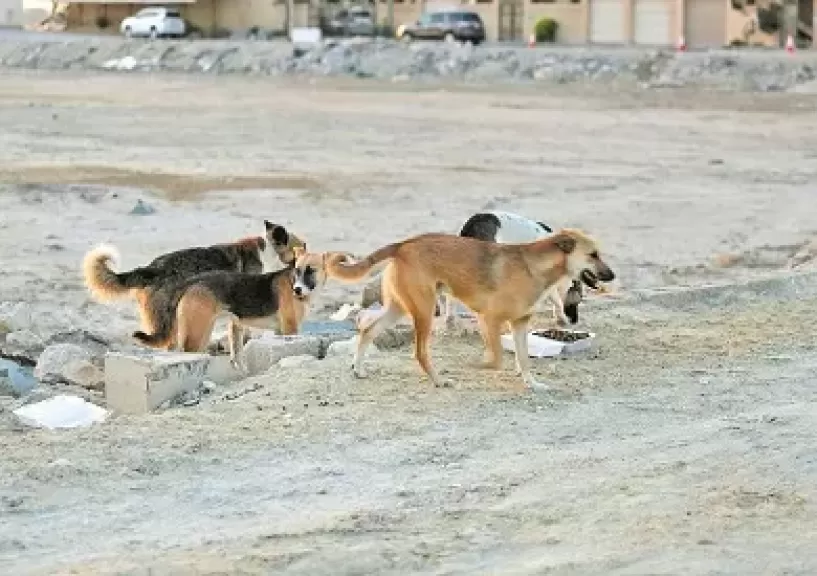 خط أحمر