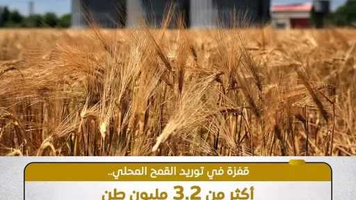 ”الزراعة”: أكثر من 3.2 مليون طن قمح تم توريدها في الموسم الحالي حتى الآن