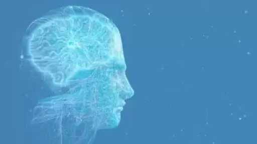 ثورة الذكاء الاصطناعى تثير مخاوف الشباب مع تزايد الاعتماد على روبوتات AI