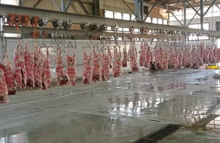 خط أحمر
