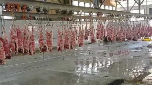 فتح مجازر قنا مجانا للمواطنين والجمعيات الأهلية طوال أيام عيد الأضحى