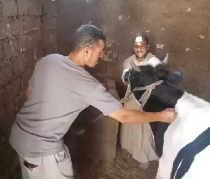 خط أحمر