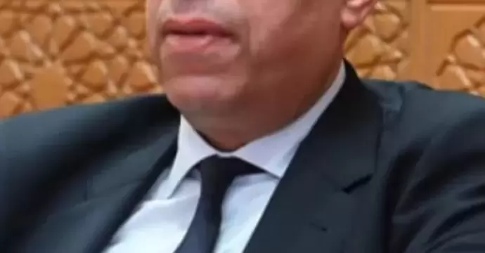 الصافي عبد العال: كلمة الرئيس في يوم إفريقيا دعوة لإعادة تشكيل النظام الإفريقي على أسس الشراكة والنهضة