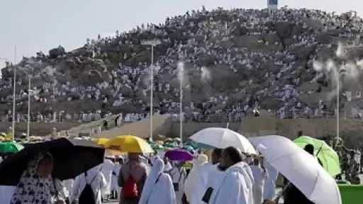 أخبار