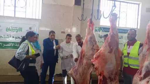 ذبح 40 عجلًا مجانًا بمجازر الأقصر خلال أول أيام عيد الأضحى.. وتوزيع اللحوم على 8 آلاف أسرة