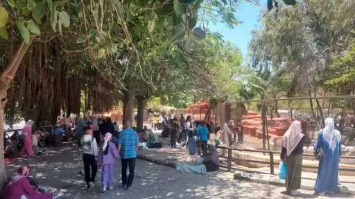 إقبال ملحوظ على حديقة حيوان الإسكندرية في ثاني أيام عيد الأضحى