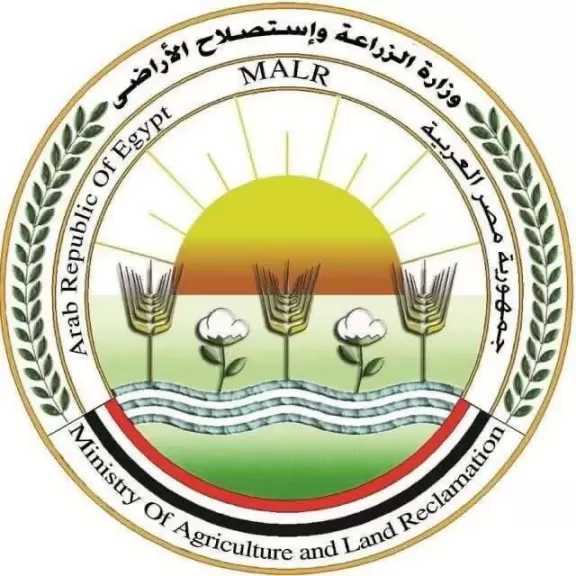 ”الزراعة”: ذبح أكثر من 7 آلاف أضحية بالمجازر الحكومية ”مجاناً” في ثالث أيام عيد الأضحى