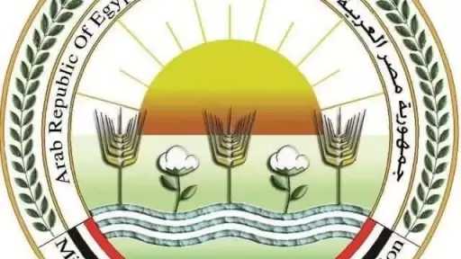”الزراعة”: ذبح أكثر من 7 آلاف أضحية بالمجازر الحكومية ”مجاناً” في ثالث أيام عيد الأضحى
