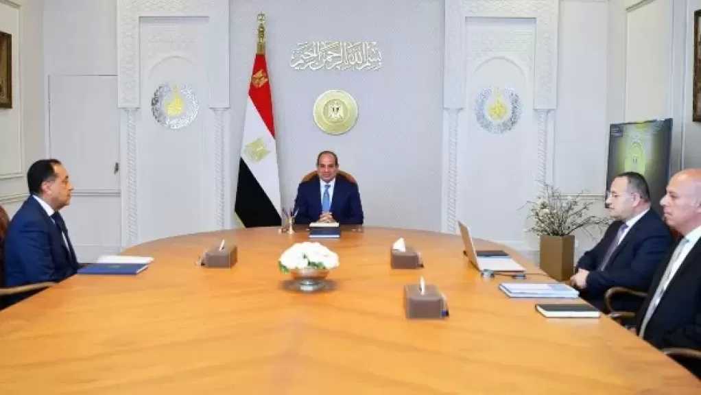 إنشاء فرع لجامعة القاهرة بإريتريا .. وزير التعليم العالي يستعرض أمام الرئيس المشروعات الصحية