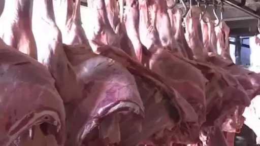 جهاز تنظيم إدارة المخلفات: نحو 200 ألف أضحية سنويا تُذبح خارج المجازر الرسمية.. وهذا لا نشجعه