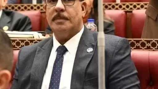 محمد الجراري: مدينة العلمين الجديدة والساحل الشمالي نقلة استراتيجية في مسار التنمية العمرانية وجذب الاستثمار