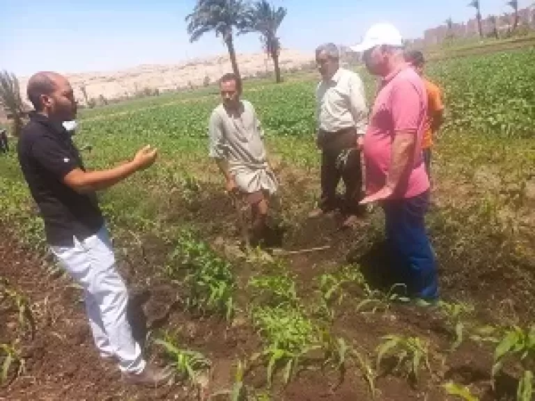 خط أحمر