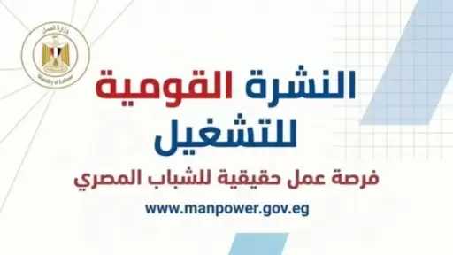 4504 فرص عمل في 14 محافظة خلال يونيو.. تفاصيل