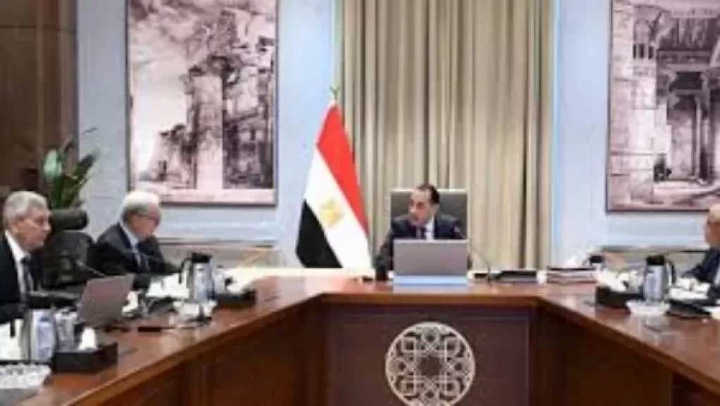 رئيس الوزراء يستعرض خطة تطوير أداء الشركة القابضة للأدوية والمنشآت التابعة لها