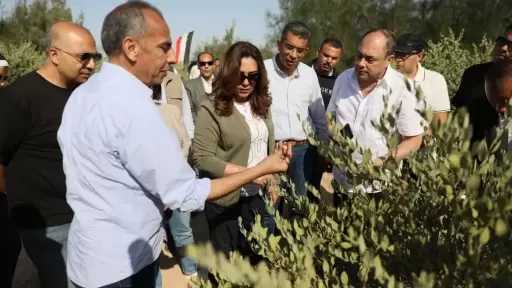 في إطار الاحتفال باليوم العالمي للبيئة 2026: وزيرة التنمية المحلية والبيئة تقوم بزيارة ميدانية لمحافظة البحر الأحمر