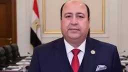 حسن جعفر: ثورة 30 يونيو أرست دعائم الجمهورية الجديدة... حسن جعفر: ثورة 30 يونيو أرست دعائم الجمهورية الجديدة ووضعت مصر على طريق التنمية الشاملة