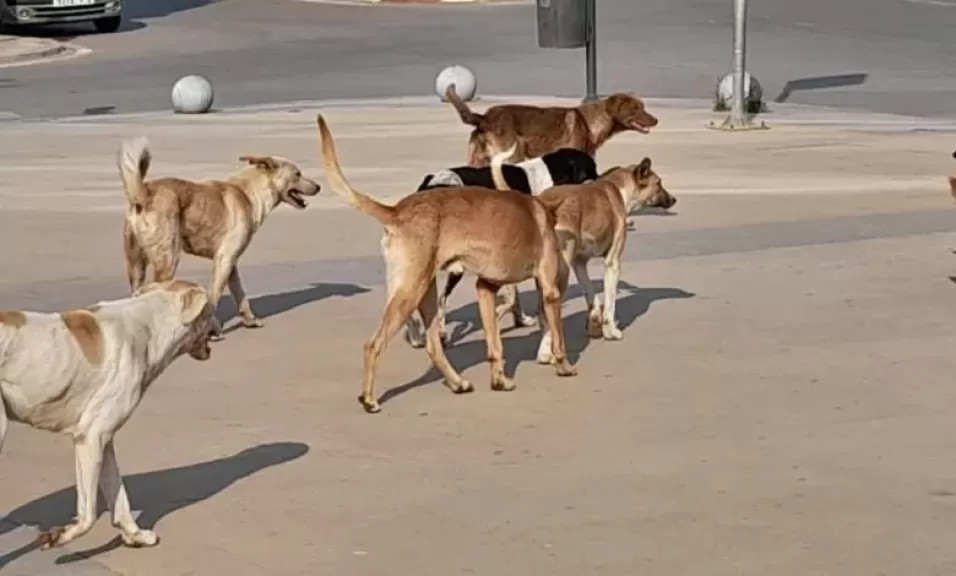 خط أحمر