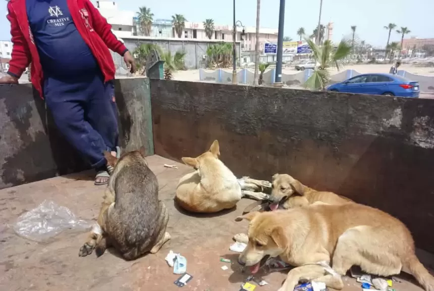 خط أحمر