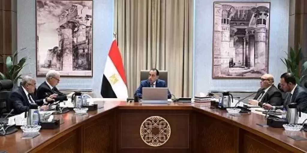 رئيس الوزراء يتابع جهود تنفيذ خطة إعادة هيكلة وحوكمة الشركات المملوكة للدولة