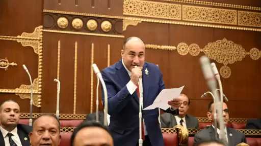 النائب عمرو رشاد: خطة التنمية تأتي في ظرف اقتصادي عالمي صعب وتتطلب مرونة في التنفيذ
