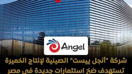 شركة أنجل ييست إيجيبت للخميرة والتكنولوجيا الحيوية تضخ استثمارات جديدة بقيمة تتراوح بين 270 و300 مليون دولار في مصر