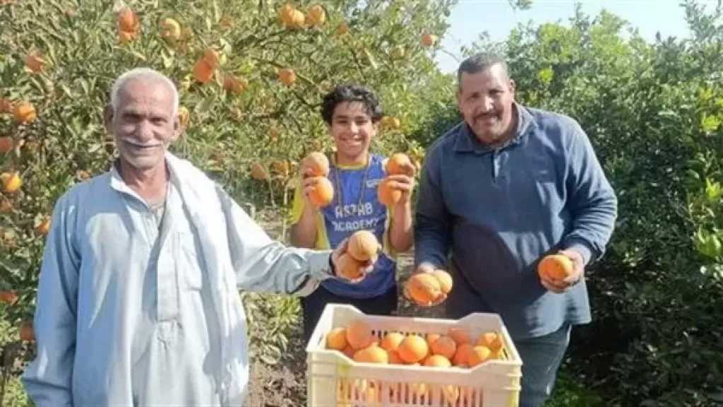 خبير زراعي: فتح 21 سوقا عالميا يحولان الحجر الزراعي إلى خط دفاعي عن صادرات مصر
