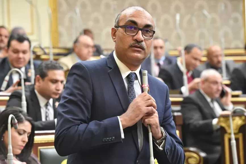النائب إيهاب منصور عن تعطل سيستم المعاشات: نطالب بتعويض المتضررين ومحاسبة المسئولين عن الأزمة