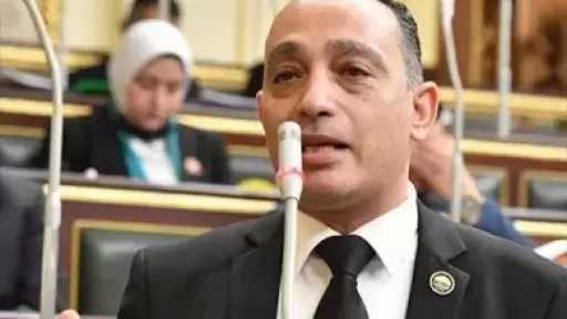 النائب فريدي البياضي: أزمة العدادات الكودية مستمرة والحكومة تعمل دون تنسيق