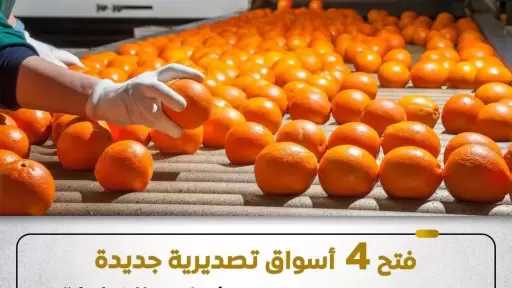 مصر تنجح في فتح 4 أسواق جديدة لـ ”البرتقال والعنب وشتلات الفراولة” بالأمريكتين