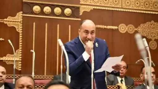 النائب عمرو رشاد: مشاركة مصر في افتتاح «جوليوس نيريري» رسالة دعم للتنمية وشهادة نجاح للخبرات المصرية