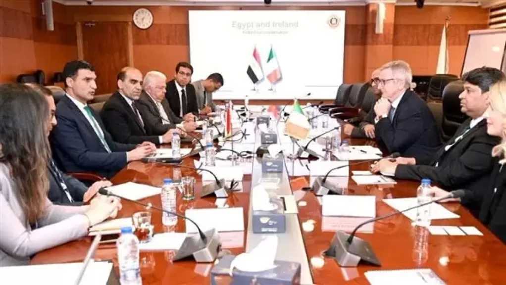 وزير الصناعة يبحث مع سفير أيرلندا بالقاهرة سبل تعزيز التعاون الصناعي