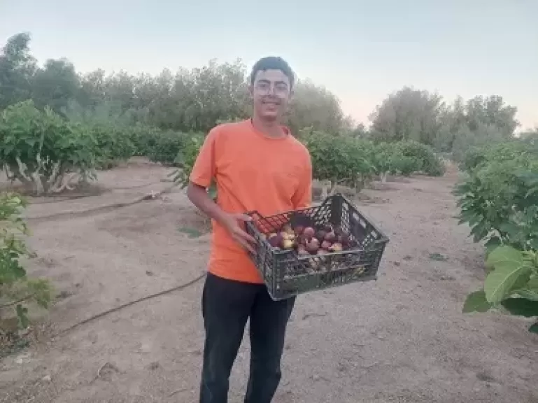 خط أحمر
