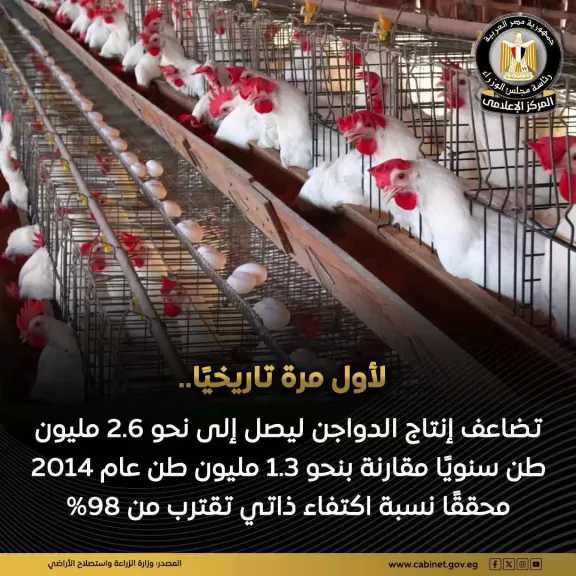 طفرة استثمارية لـ صناعة الدواجن بمصر تجاوزت 7 أضعاف لتصل استثماراتها إلى نحو 200 مليار جنيه