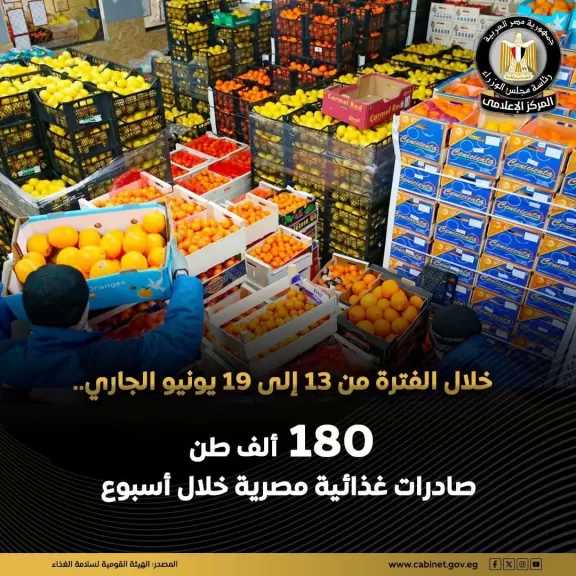 الهيئة القومية لسلامة الغذاء: تصدير 180 ألف طن مواد عذائية خلال أسبوع