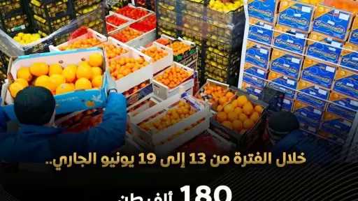الهيئة القومية لسلامة الغذاء: تصدير 180 ألف طن مواد عذائية خلال أسبوع