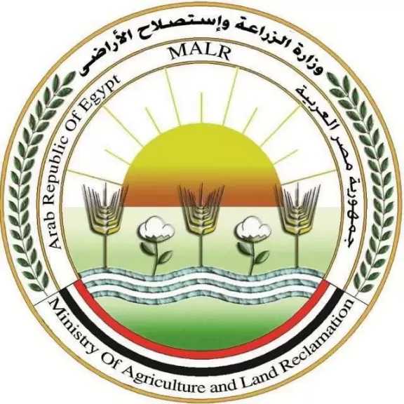 وزارة الزراعة: المساحات الفعلية المنزرعة بالقطن بلغت 164 ألف فدان