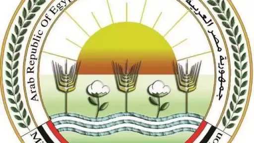 ”الزراعة” تعلن صرف 5.8 مليون شكارة أسمدة للمزارعين وتؤكد توفر رصيد آمن