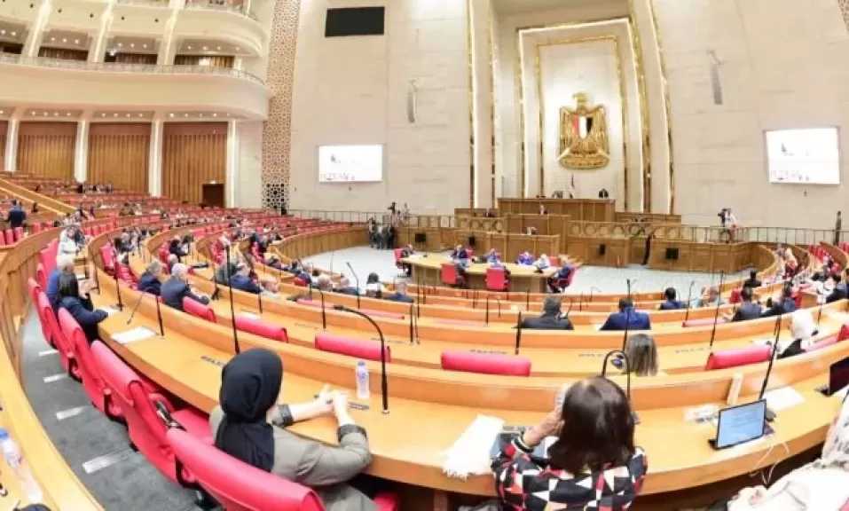 برلمانى: ثورة 30 يونيو جسدت الإرادة الشعبية وأنقذت الوطن من مخاطر الانقسام