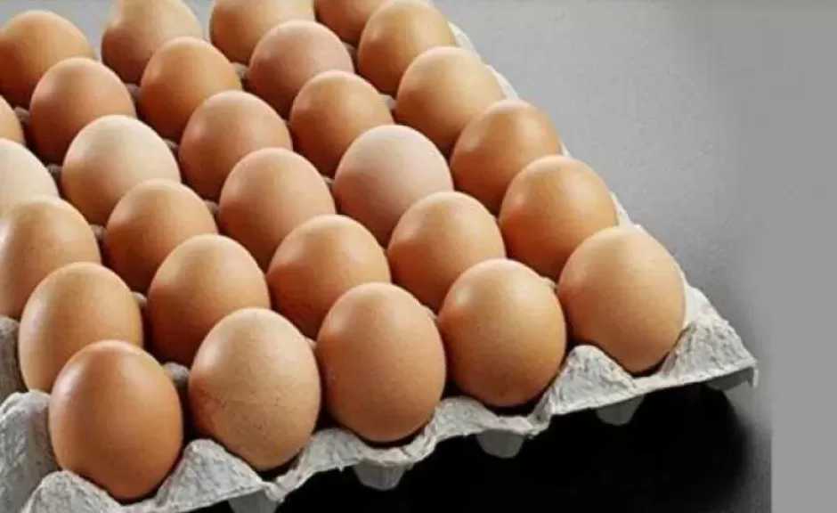 سعر البيض اليوم الجمعة في الأسواق