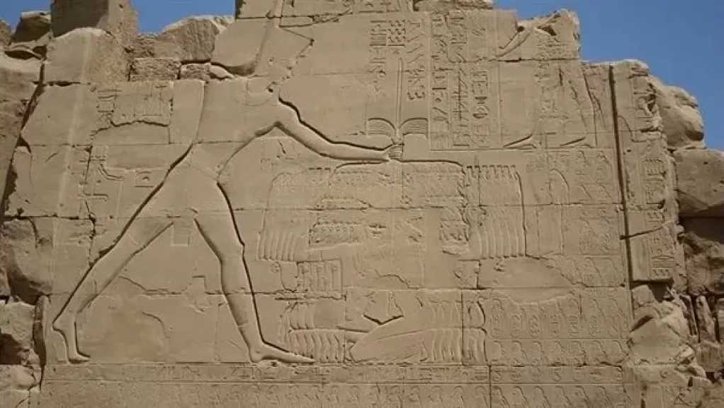 أستاذ تاريخ: المصري القديم حوّل انتصاراته العسكرية لذاكرة خالدة على جدران المعابد