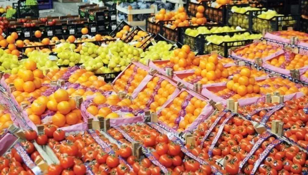 مصر تصدر 71 ألف طن فواكه وخضراوات خلال أسبوع