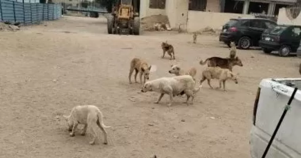 خط أحمر