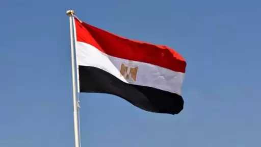 أخبار