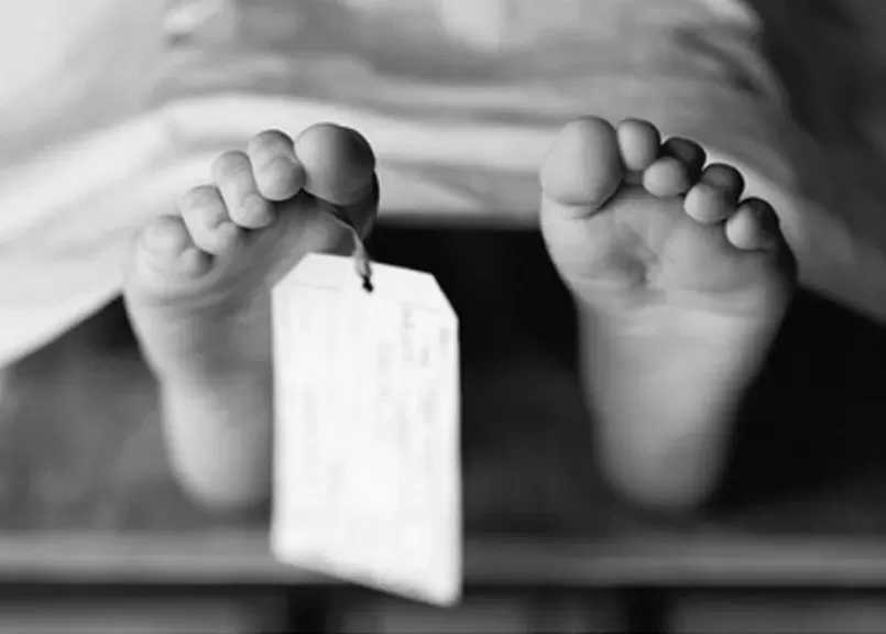 العثور على جثة رضيع بجوار صندوق قمامة في حلوان: المتهمة أنجبته من علاقة غير شرعية