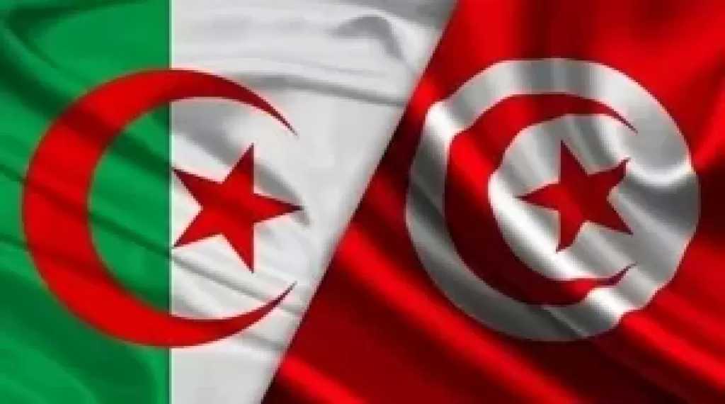 الجزائر وتونس تبحثان توسيع التعاون وفتح أسواق إفريقية